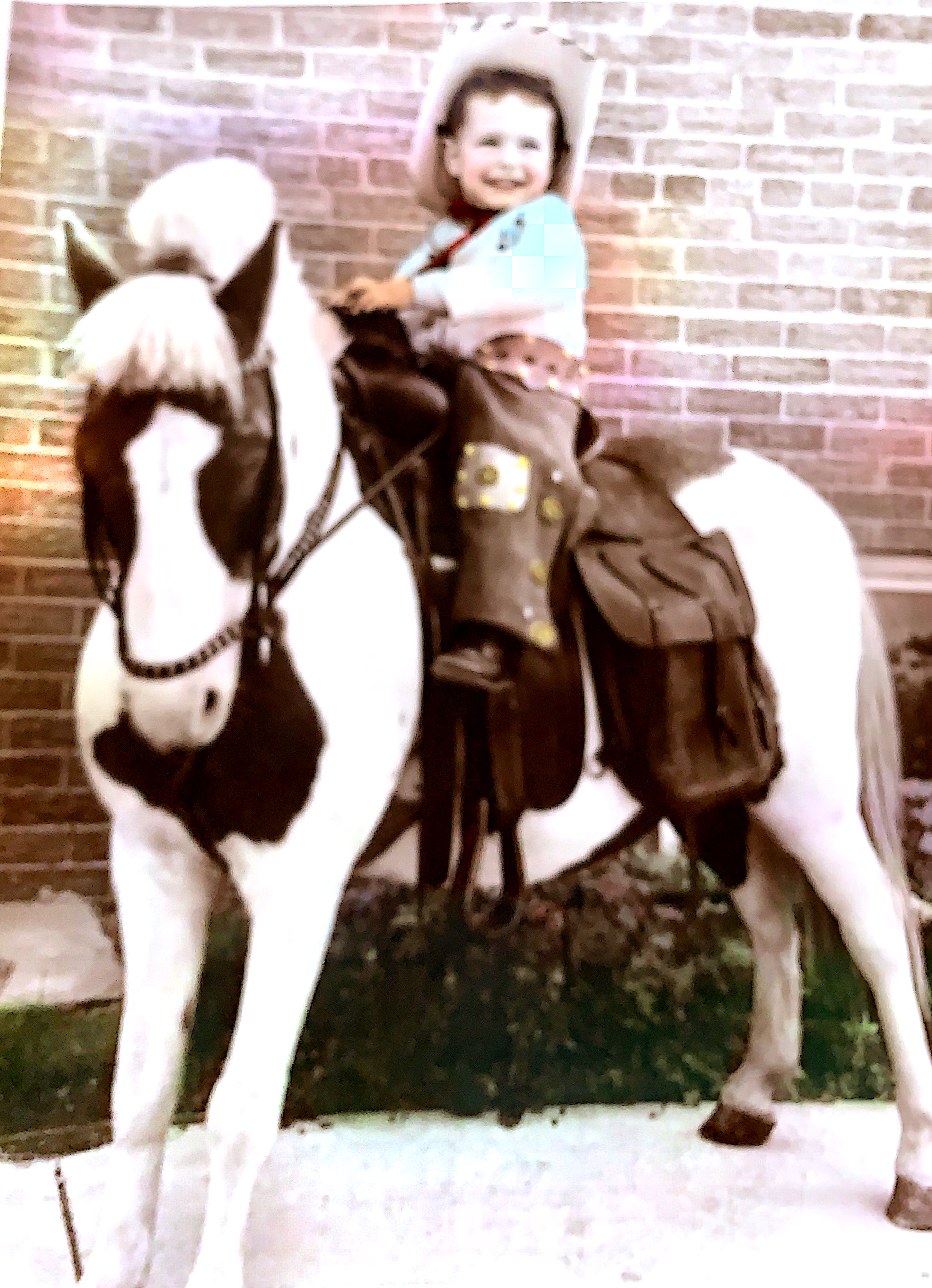 Dave Nieman 2019 FTA Hall of Fame horse